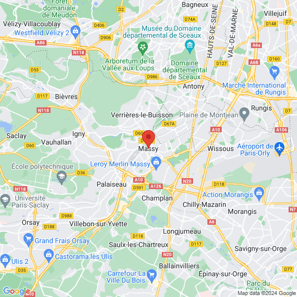 google map