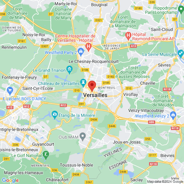 google map