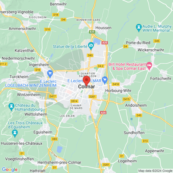 google map