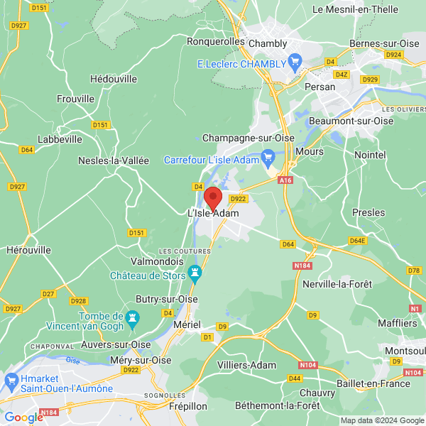 google map