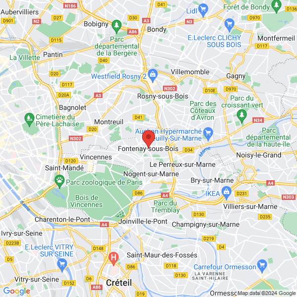 google map