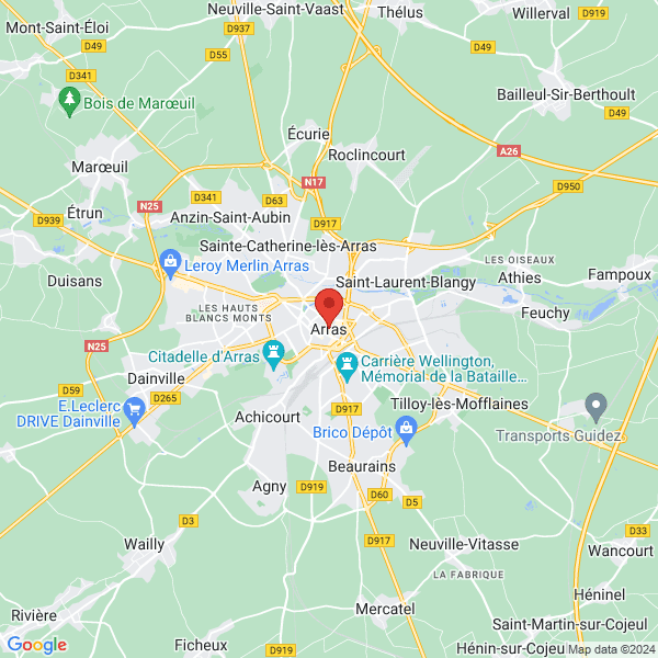 google map