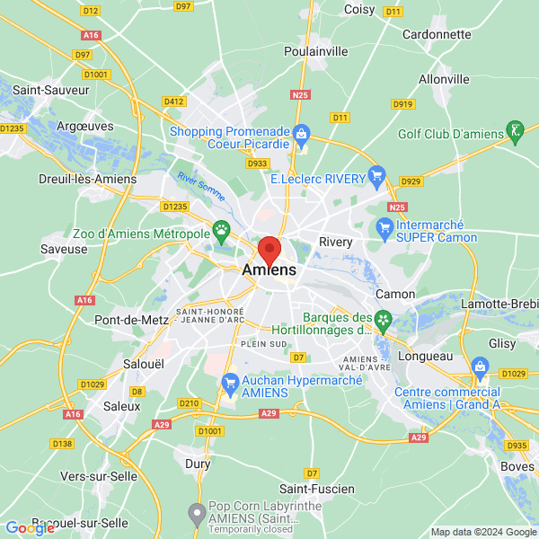 google map