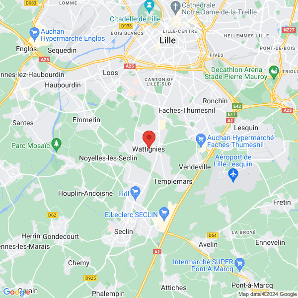 google map