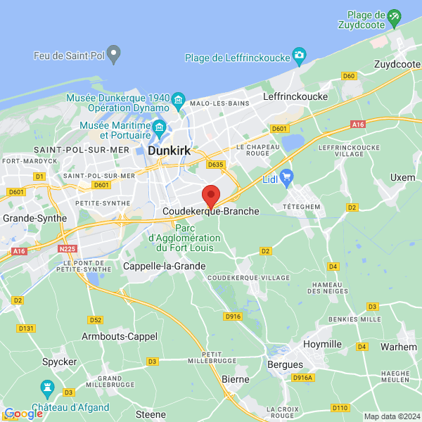 google map