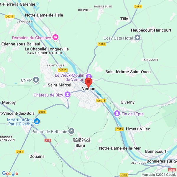 google map