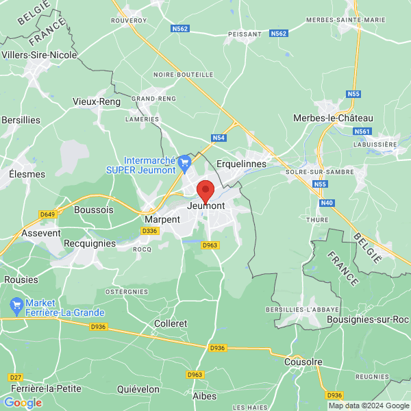 google map