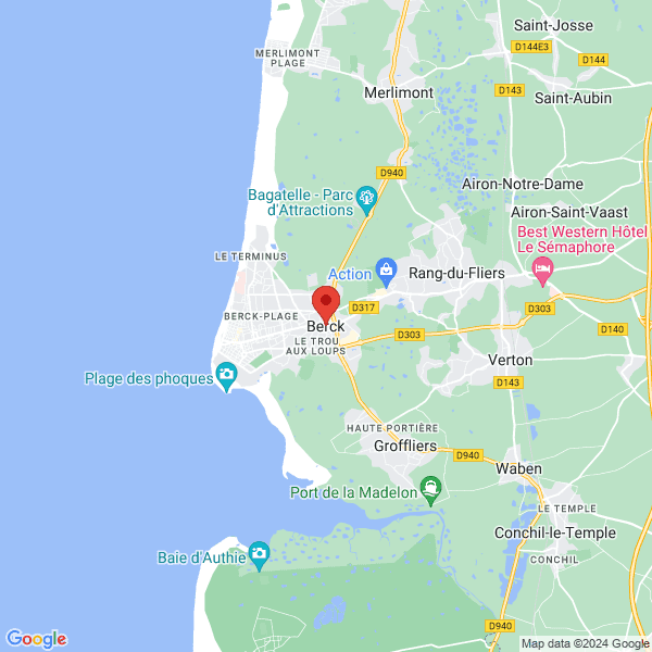 google map
