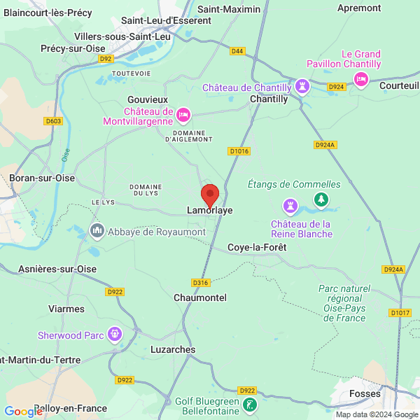 google map