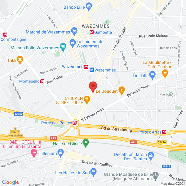 google map
