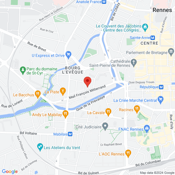 google map