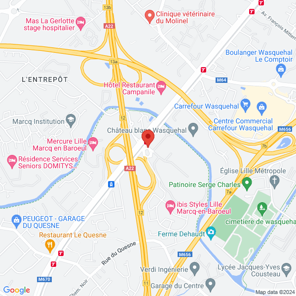 google map