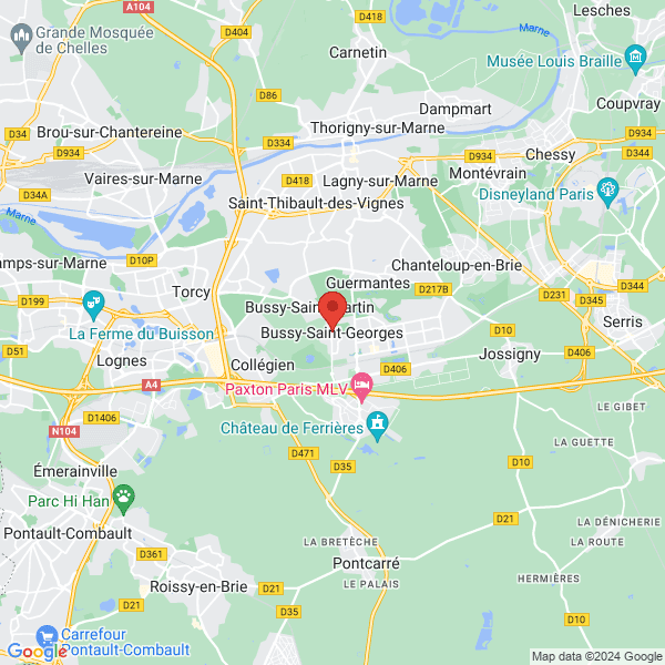 google map