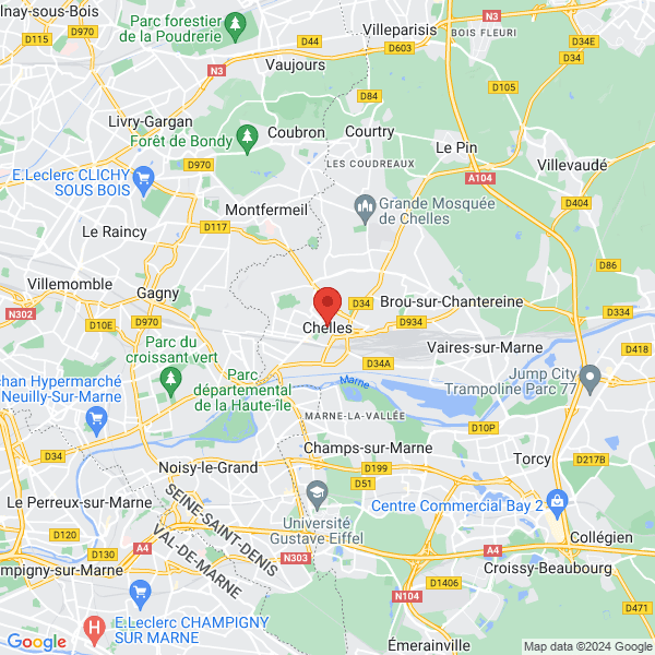 google map