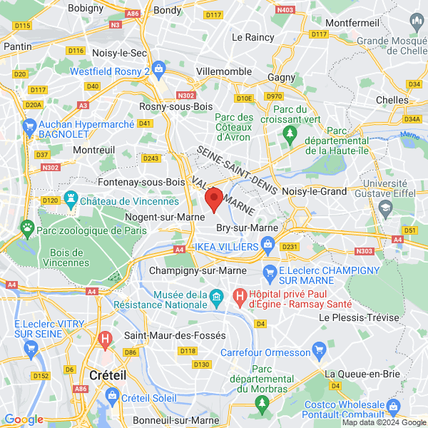 google map