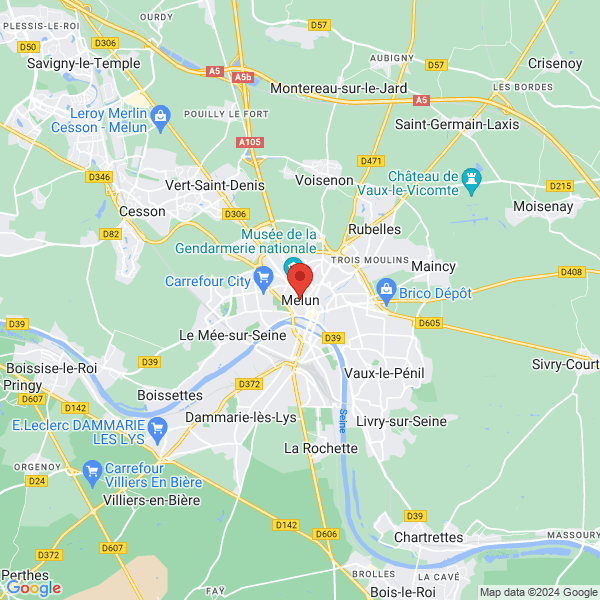 google map