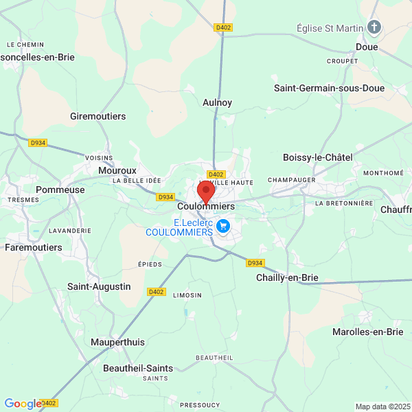 google map