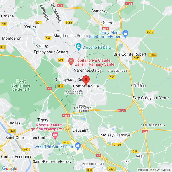 google map