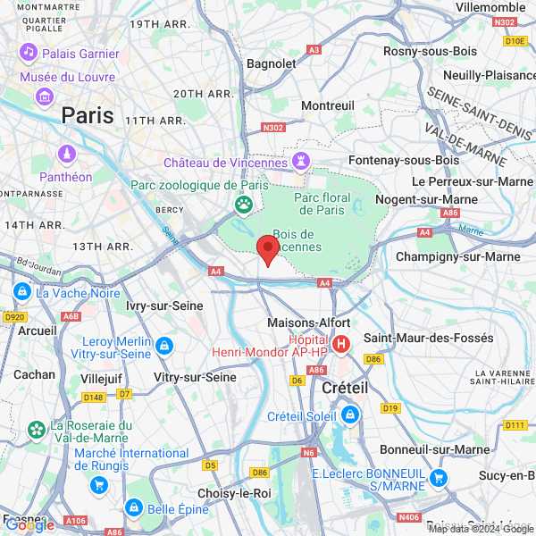 google map