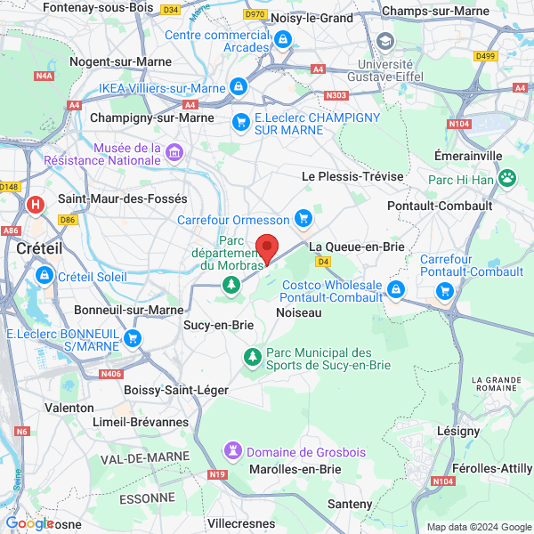 google map