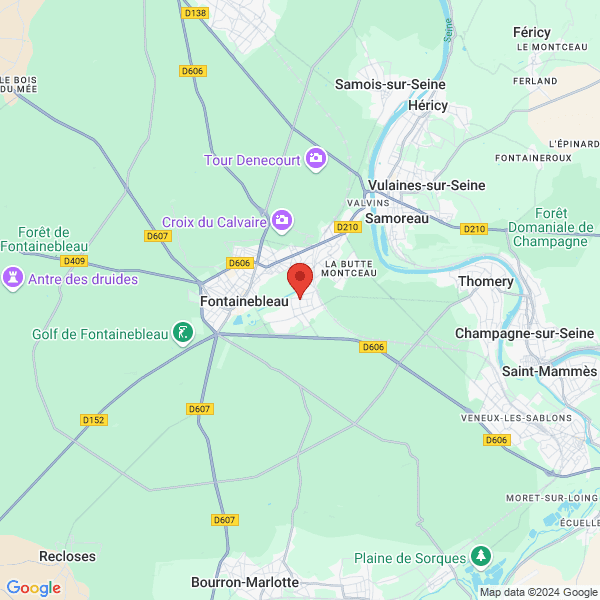 google map