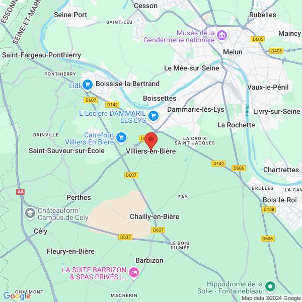 google map