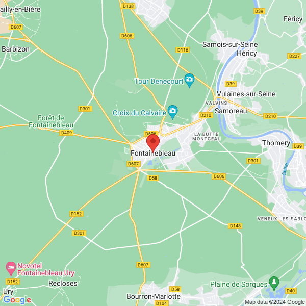 google map