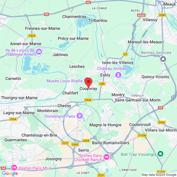 google map