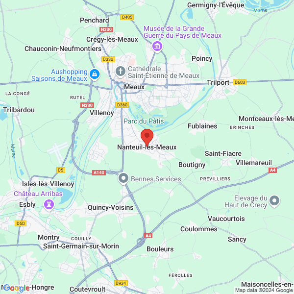 google map