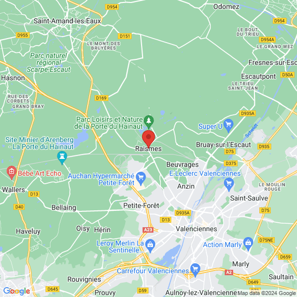 google map