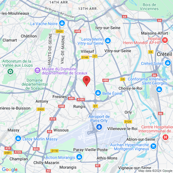 google map