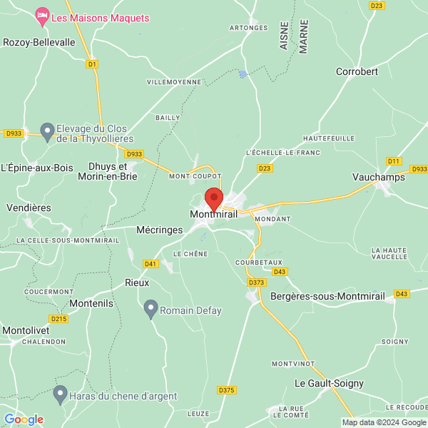 google map