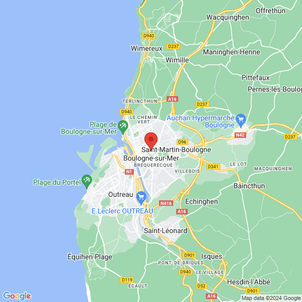 google map