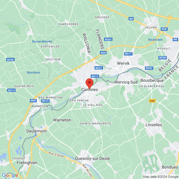 google map