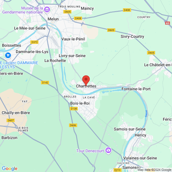 google map