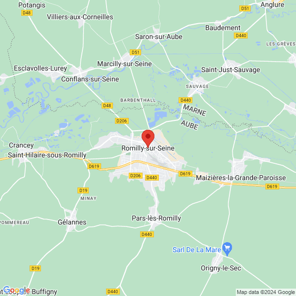 google map