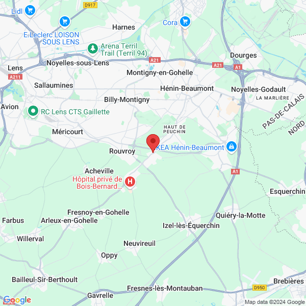google map