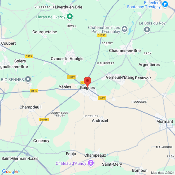 google map