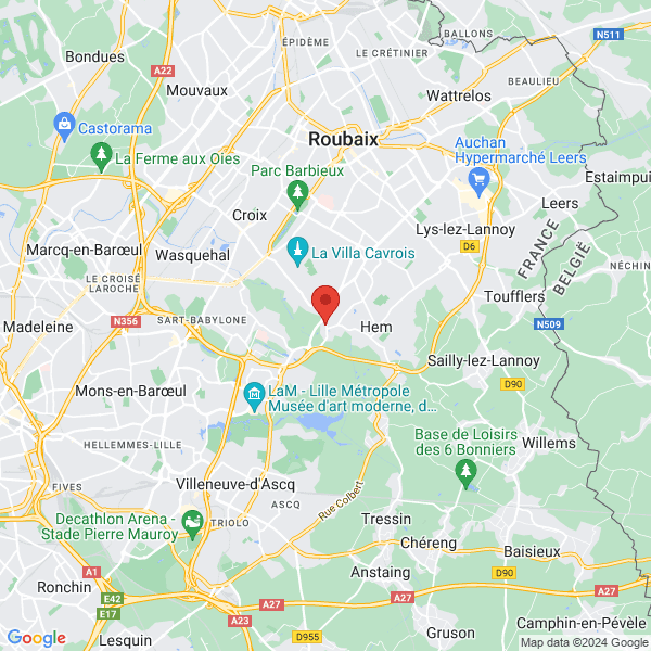 google map