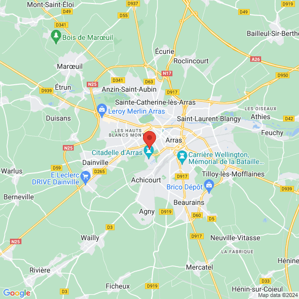 google map