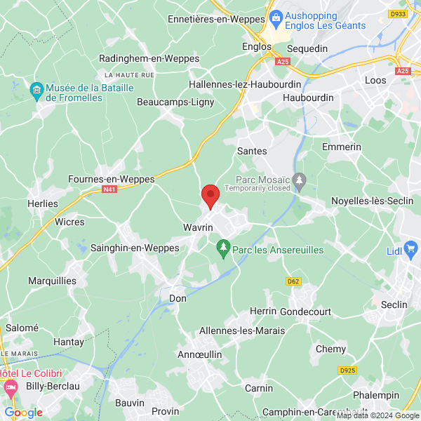 google map