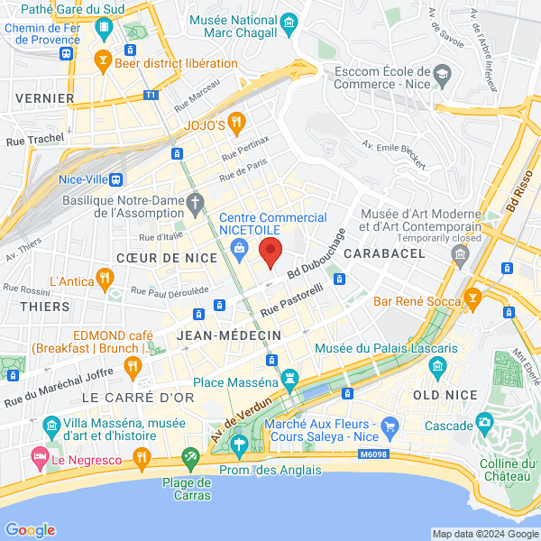 google map