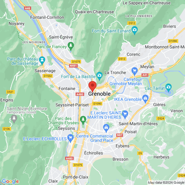 google map