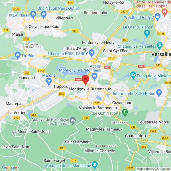 google map