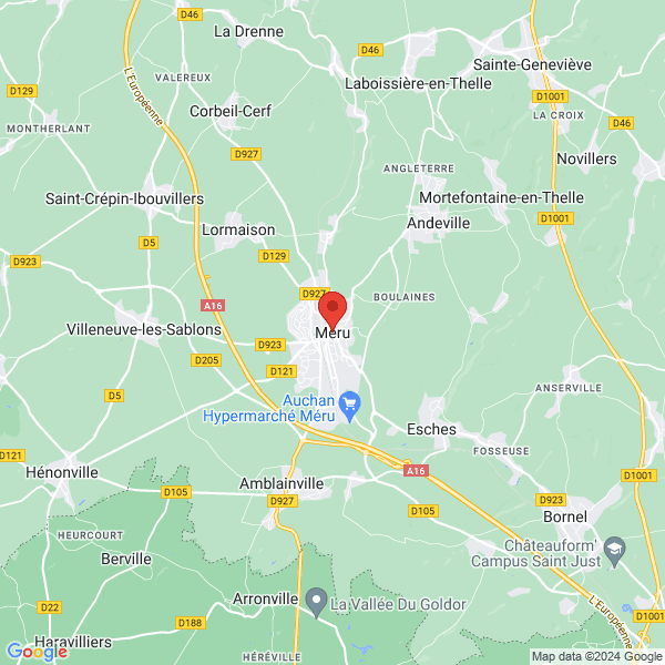 google map