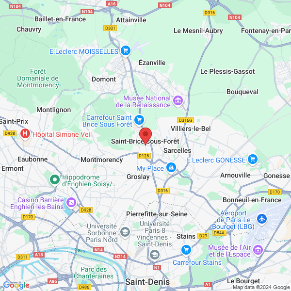 google map