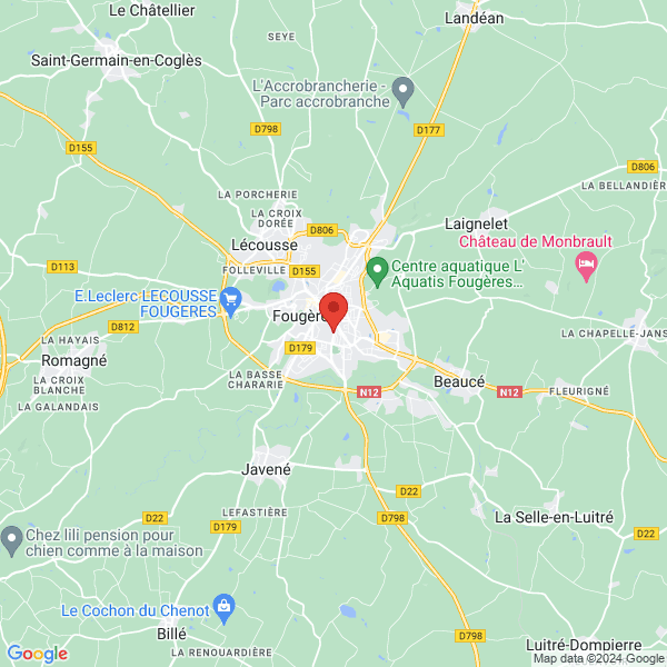 google map