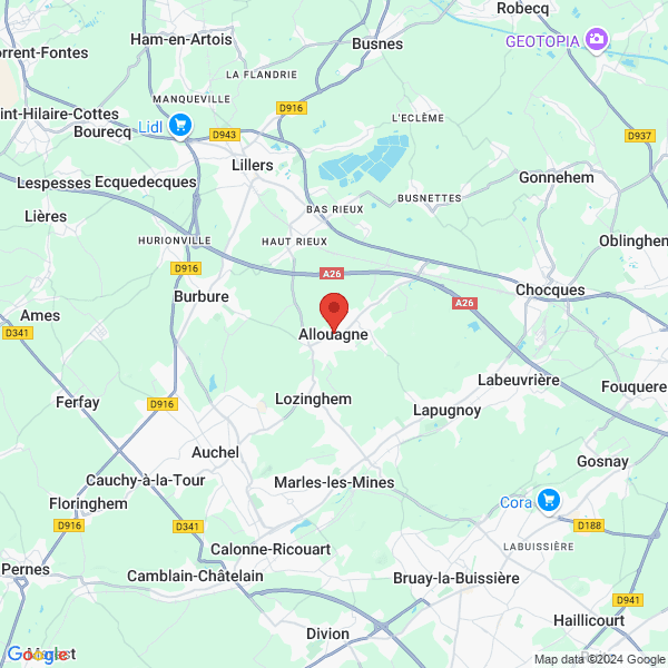 google map