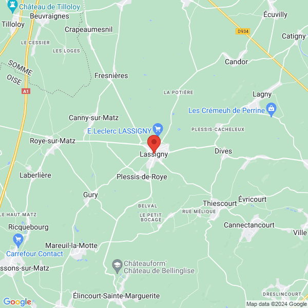 google map