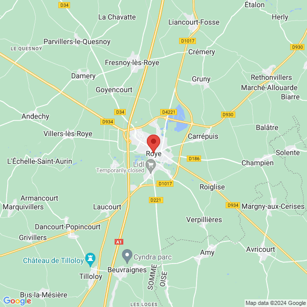 google map
